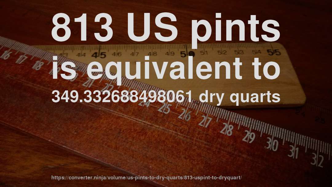 813 US pints is equivalent to 349.332688498061 dry quarts