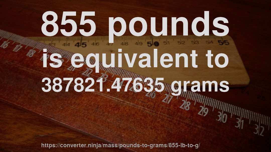 855 pounds is equivalent to 387821.47635 grams