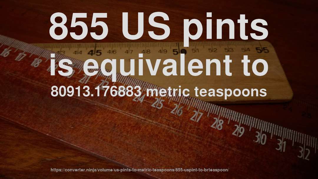 855 US pints is equivalent to 80913.176883 metric teaspoons