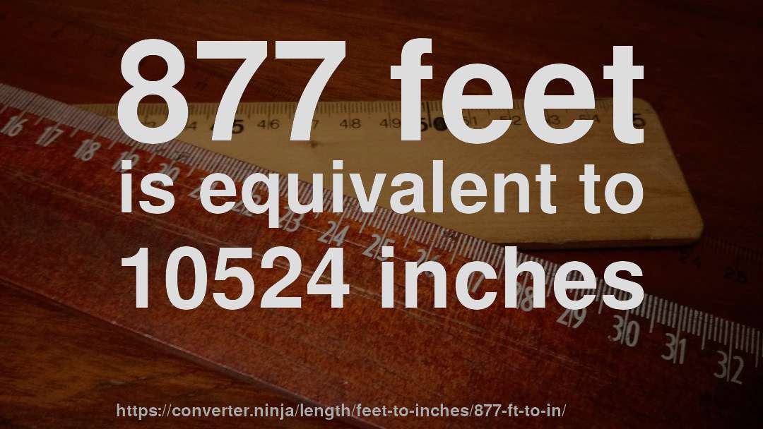 877 feet is equivalent to 10524 inches