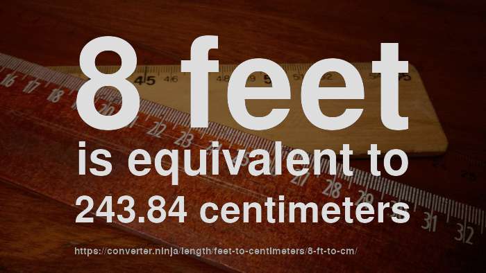 How Long Is 8 Feet In Meters