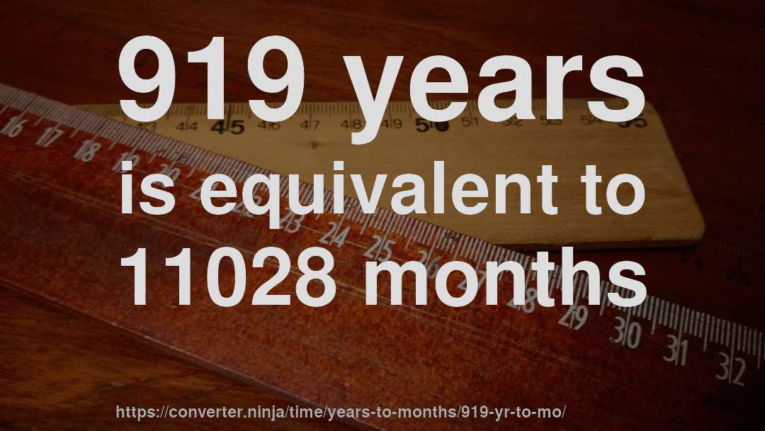 919 years is equivalent to 11028 months