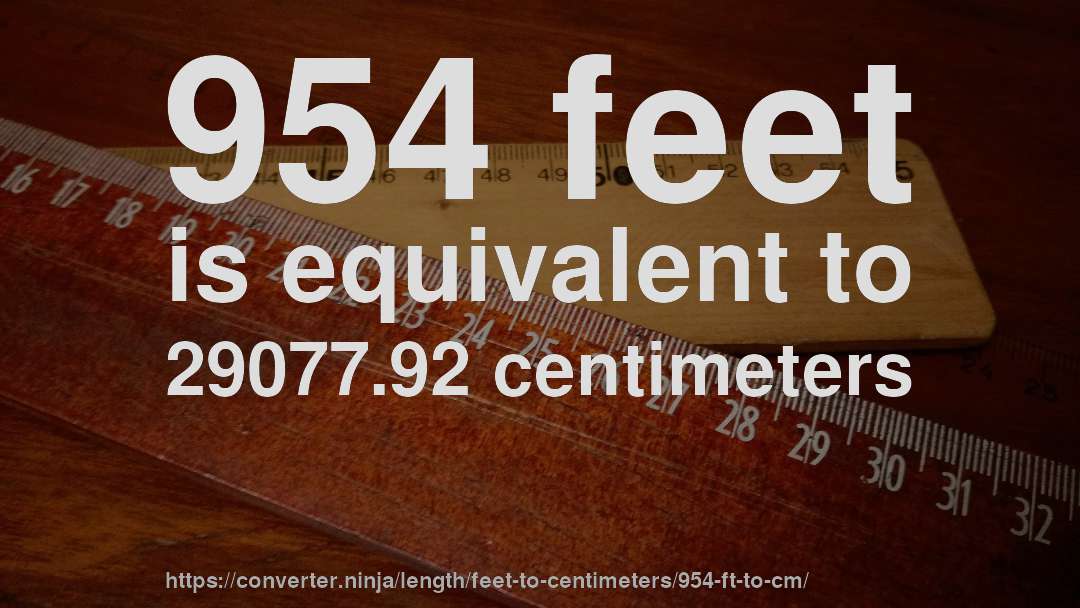 954 feet is equivalent to 29077.92 centimeters