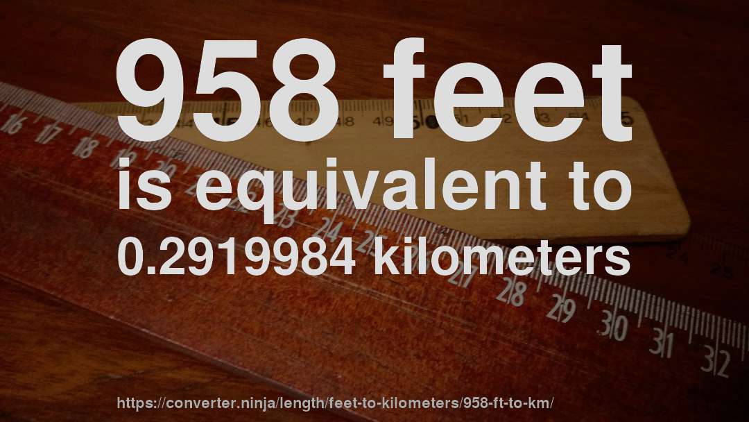 958 feet is equivalent to 0.2919984 kilometers