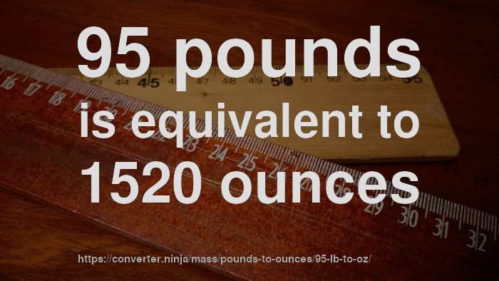 95-lb-to-oz-how-much-is-95-pounds-in-ounces-convert