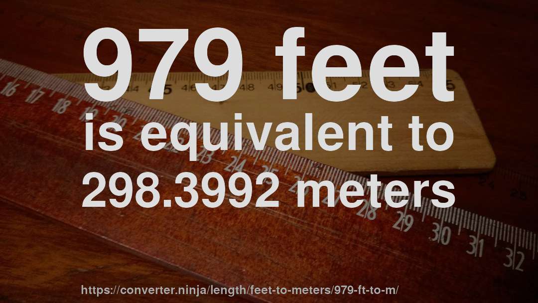 979 feet is equivalent to 298.3992 meters