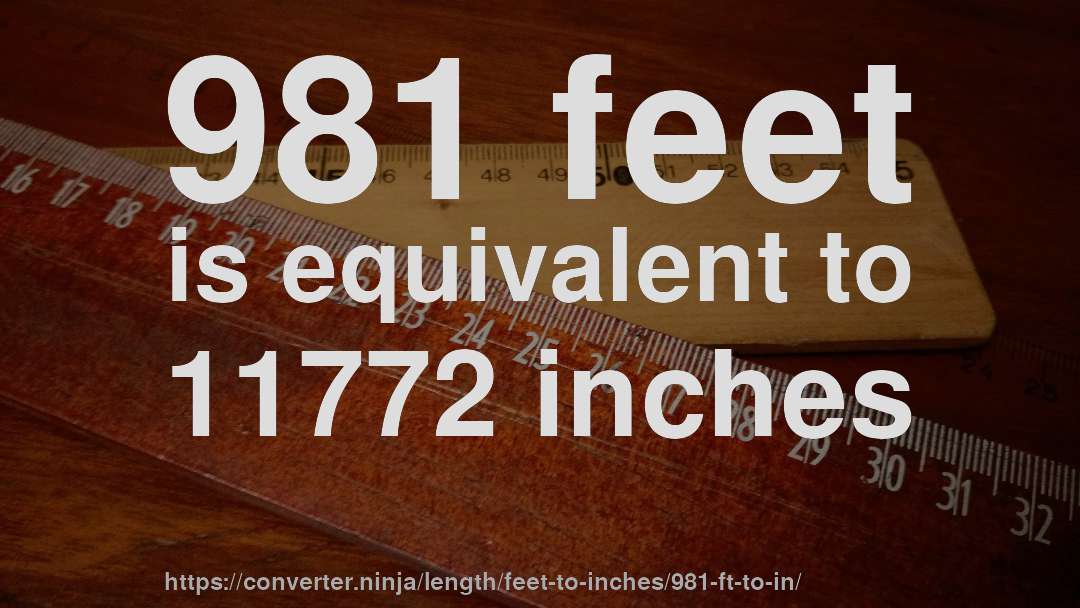 981 feet is equivalent to 11772 inches