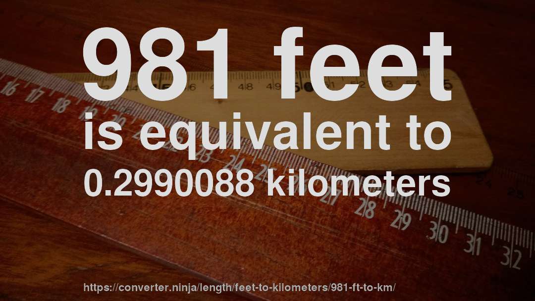 981 feet is equivalent to 0.2990088 kilometers