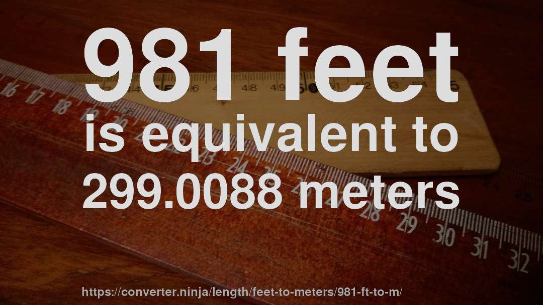 981 feet is equivalent to 299.0088 meters
