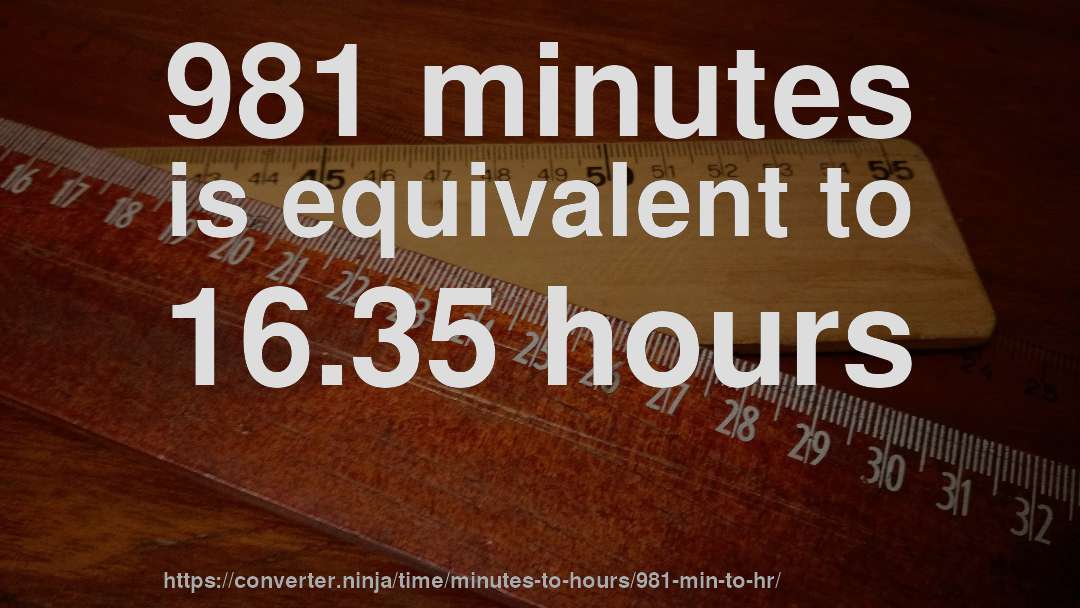 981 minutes is equivalent to 16.35 hours